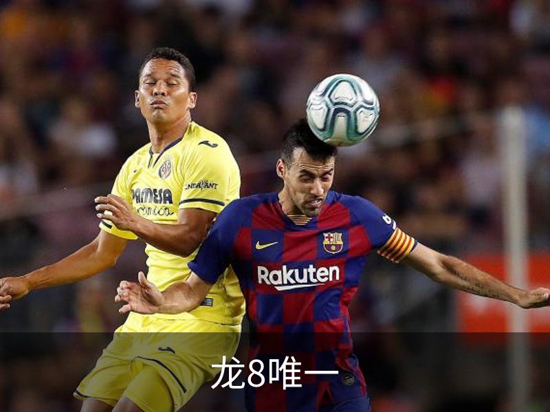 龙8唯一简介